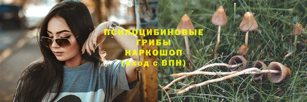spice Бронницы