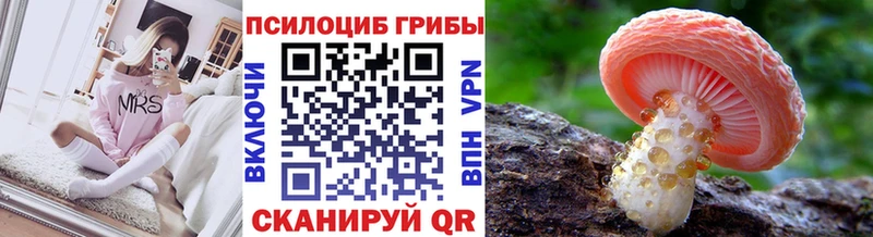 где можно купить   гидра ссылка  Галлюциногенные грибы MAGIC MUSHROOMS  Северобайкальск 